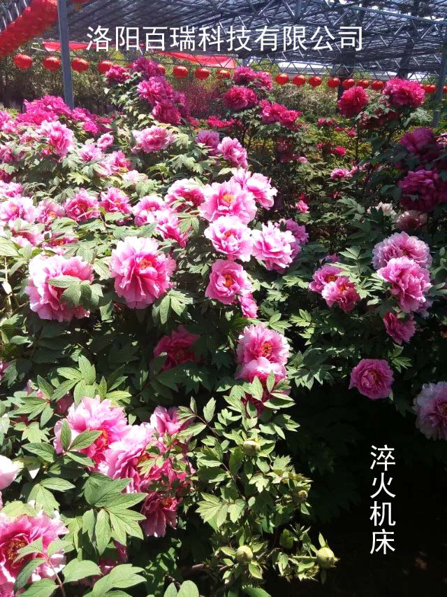 1587021571128222.png 图片18.png